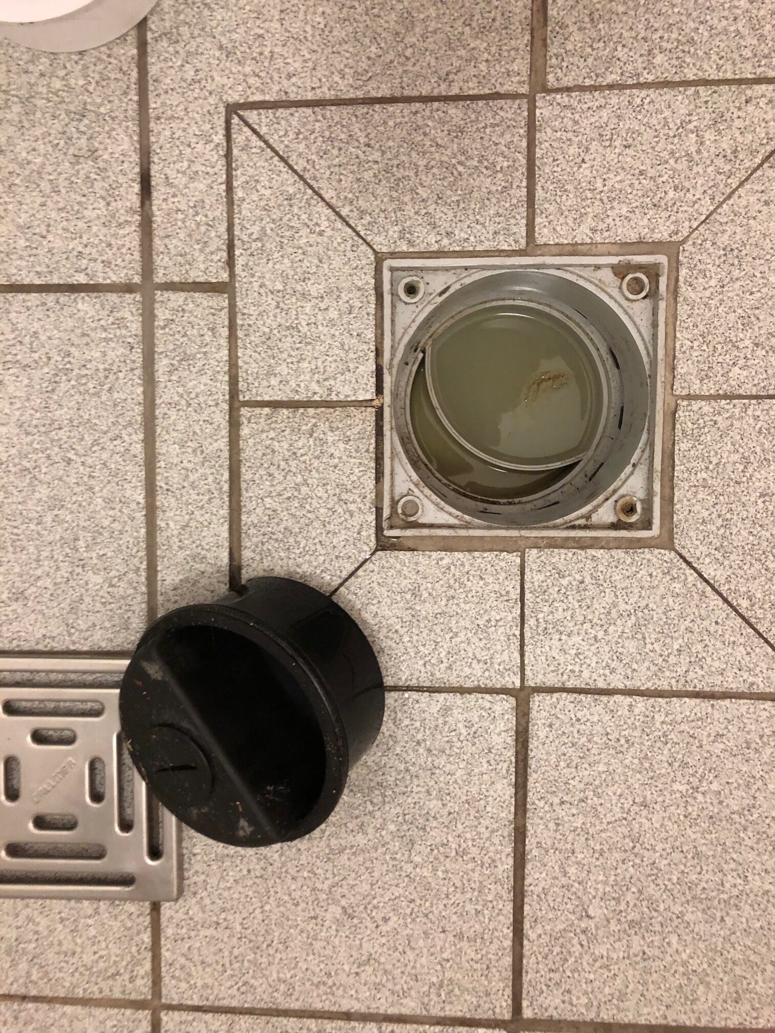 Sanicus Geruchsverschluss für Bodeneinläufe