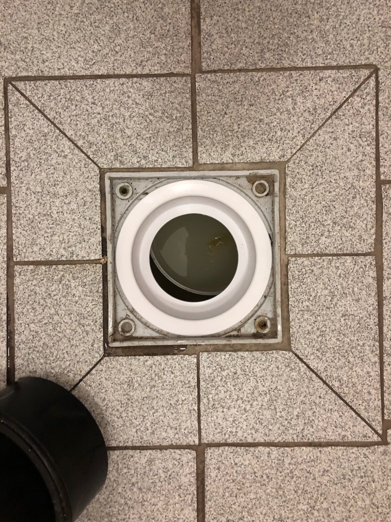 Sanicus Geruchsverschluss für Bodeneinläufe